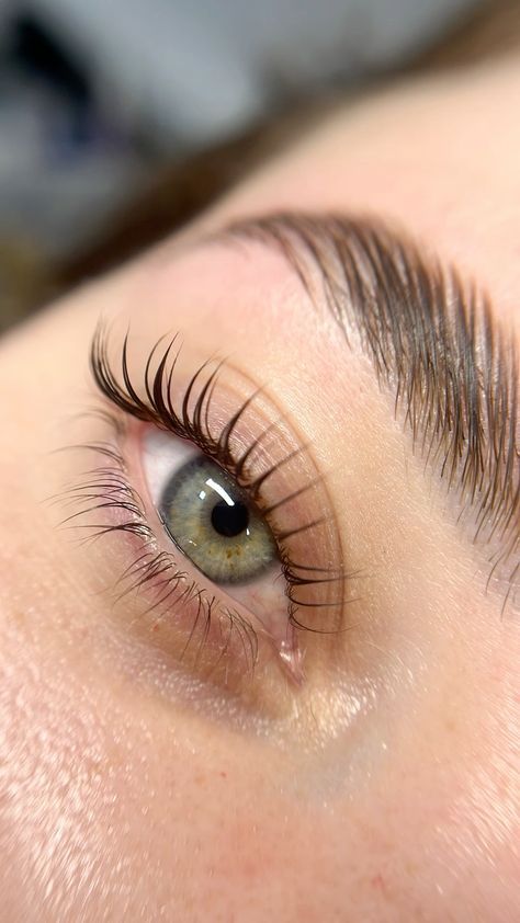 Lash & Brow Lifting